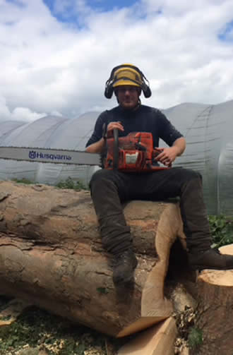 SS ARB Tree Solutions